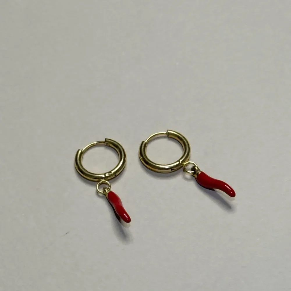 Pepper hoop Earrings N1715